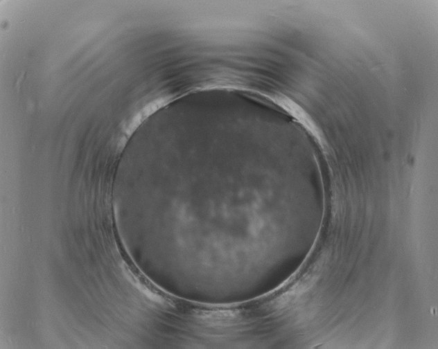 X0000088031337200705182016