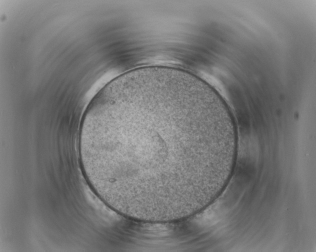 X0000088031338200705182016