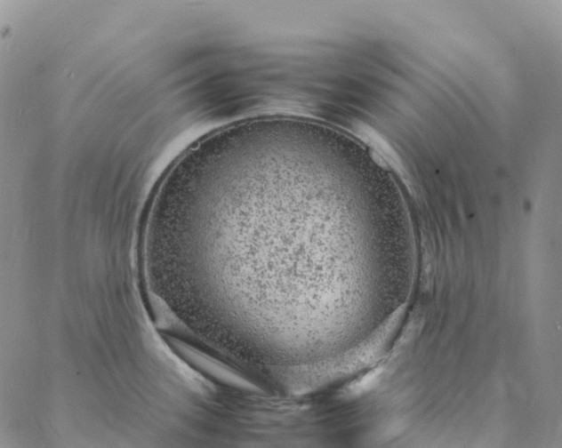 X0000088031339200705182016