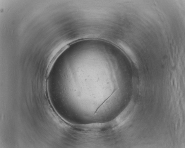 X0000088031340200705182016