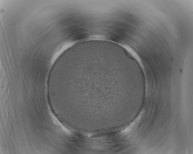 X0000088031341200705182016