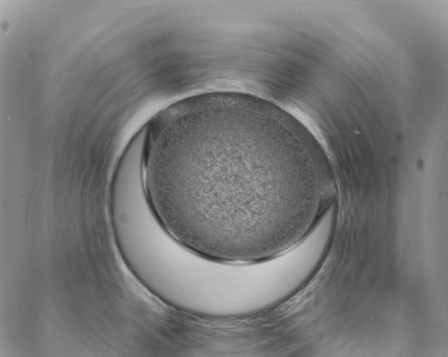 X0000088031342200705182016