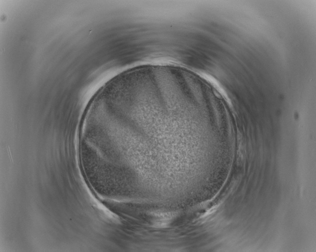 X0000088031343200705182016