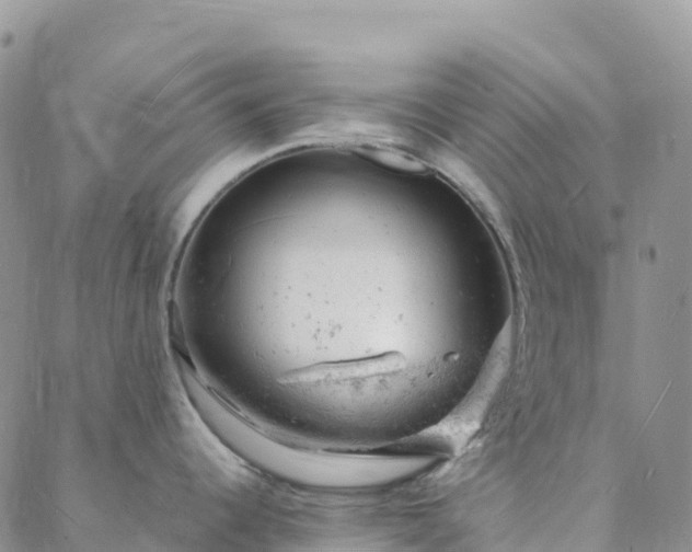 X0000088031344200705182016