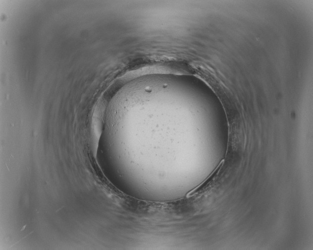 X0000088031345200705182015