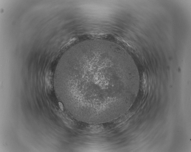 X0000088031346200705182015