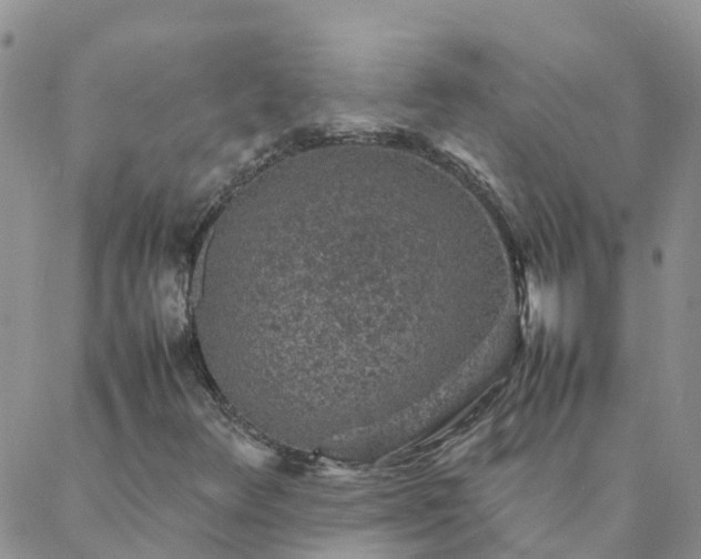 X0000088031348200705182015