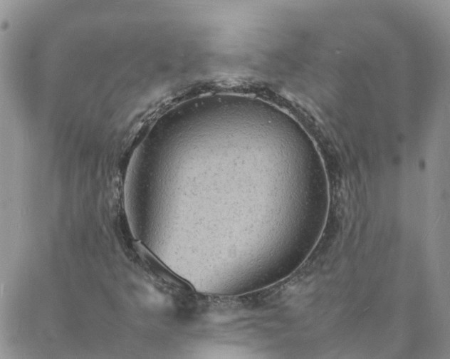 X0000088031349200705182015