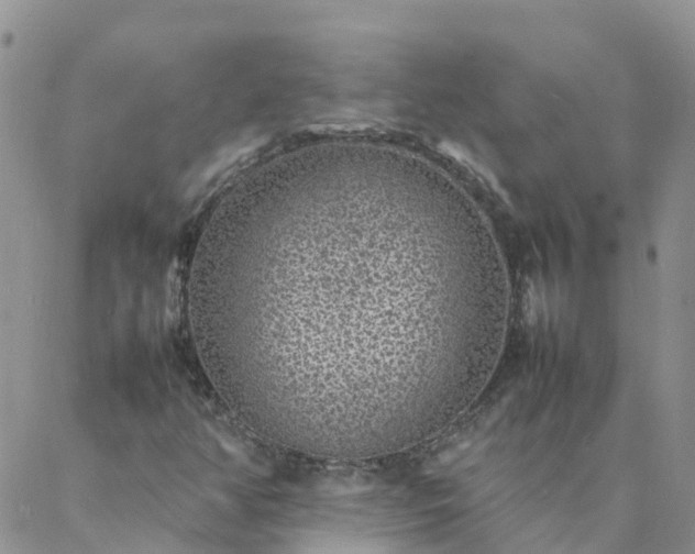 X0000088031350200705182015