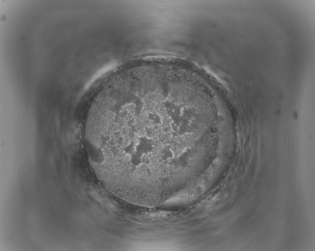 X0000088031351200705182015