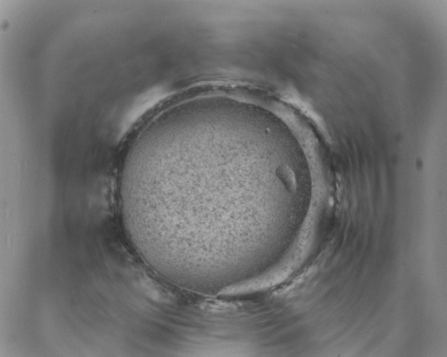 X0000088031352200705182015