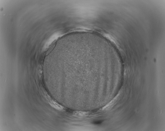 X0000088031355200705182015