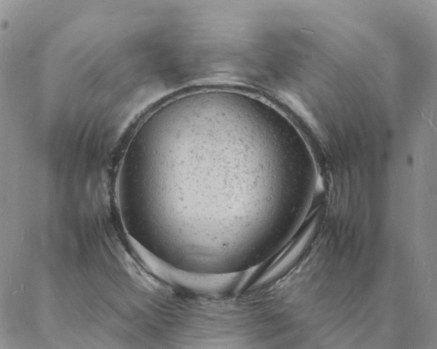 X0000088031356200705182015