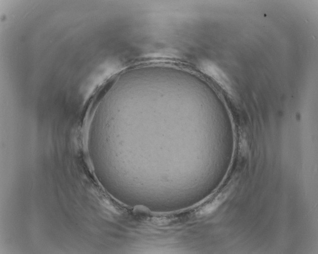 X0000088031357200705182015