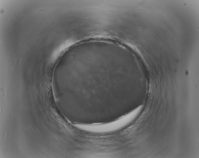 X0000088031359200705182015