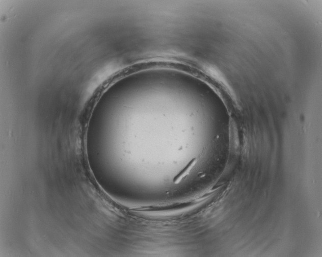 X0000088031360200705182015