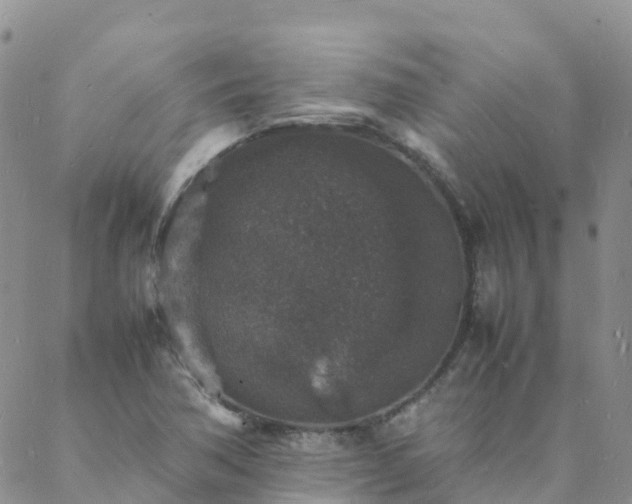 X0000088031362200705182015