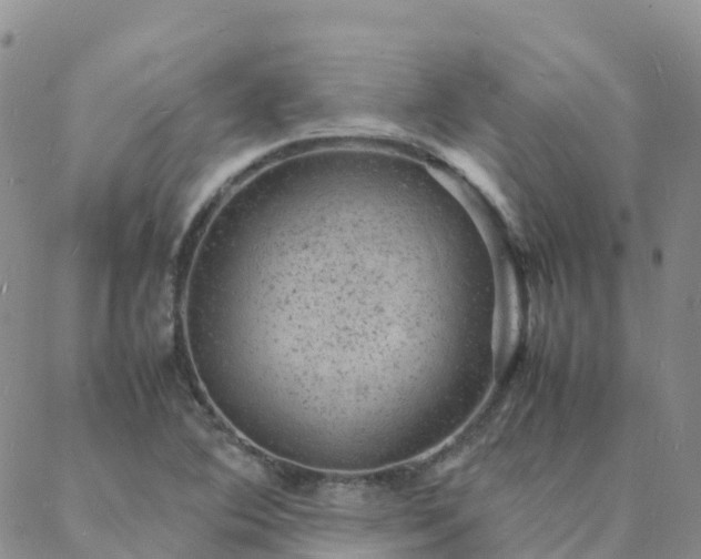 X0000088031364200705182015