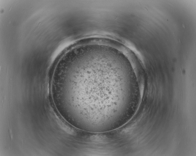 X0000088031368200705182015