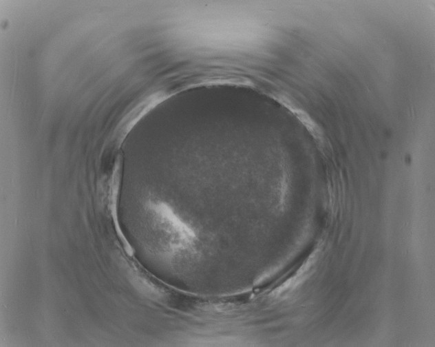 X0000088031369200705182015