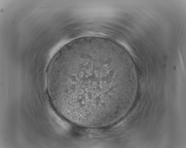 X0000088031371200705182015