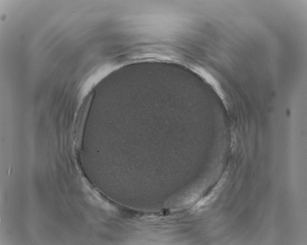 X0000088031373200705182015