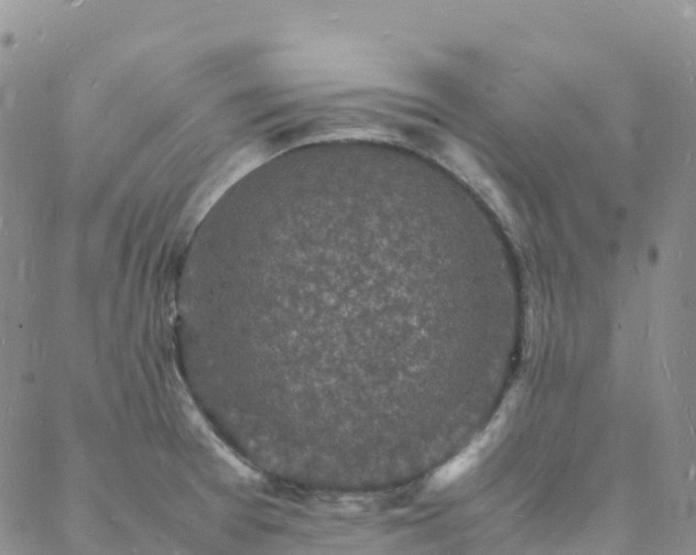 X0000088031377200705182015