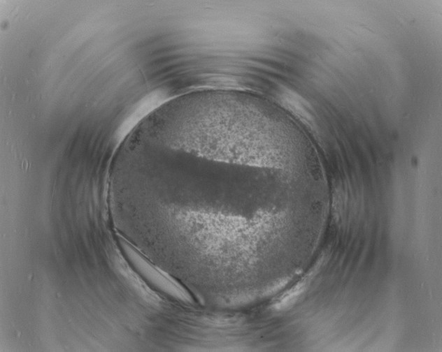 X0000088031378200705182015