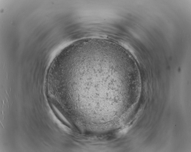 X0000088031379200705182015