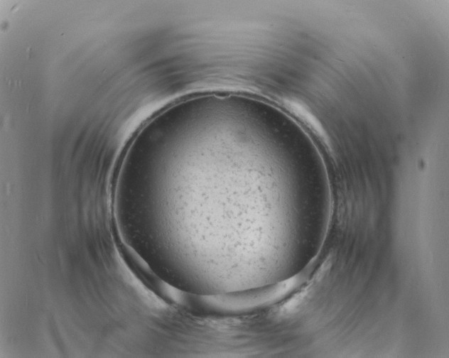 X0000088031380200705182015