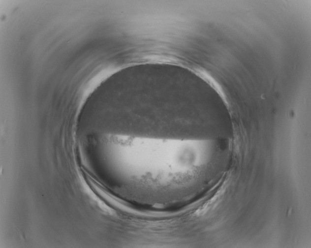 X0000088031381200705182014