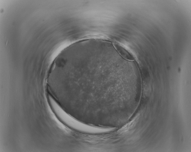 X0000088031383200705182014