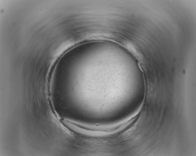 X0000088031384200705182014