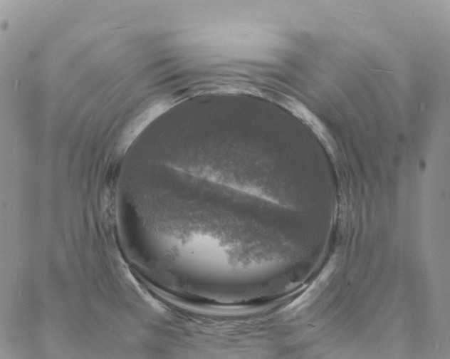 X0000088031385200705182014