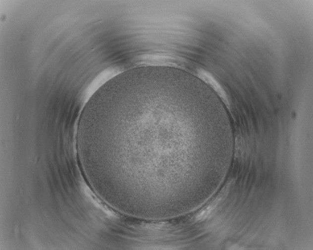 X0000088031386200705182014