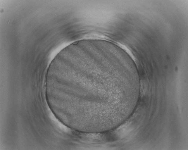 X0000088031387200705182014