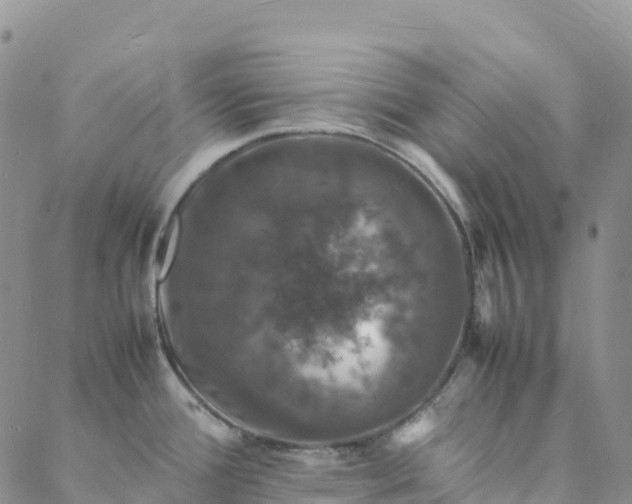 X0000088031388200705182014