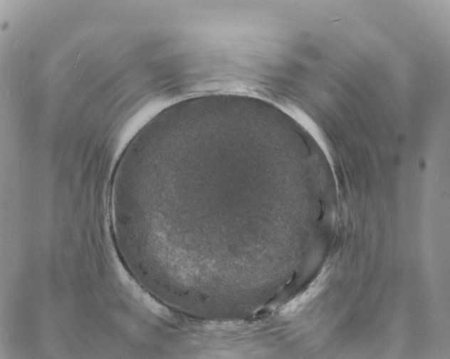 X0000088031389200705182014