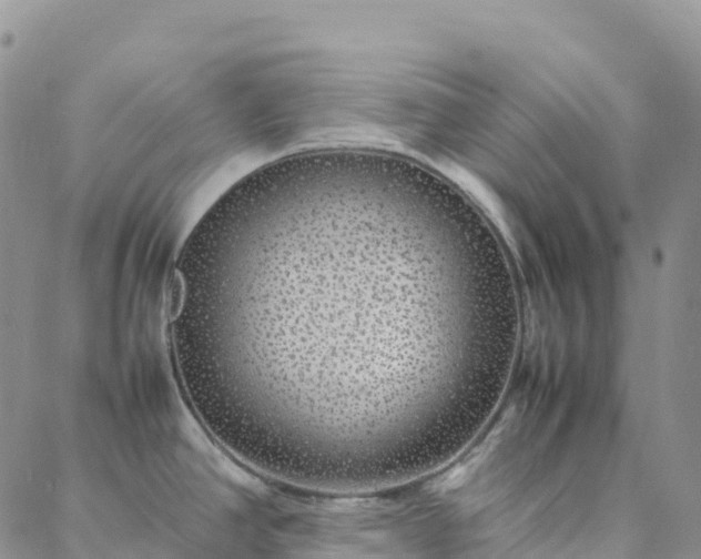 X0000088031390200705182014