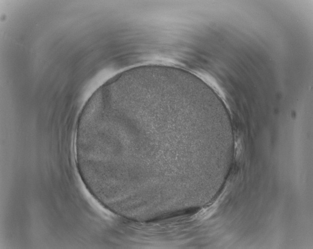 X0000088031391200705182014