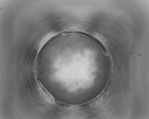 X0000088031392200705182014