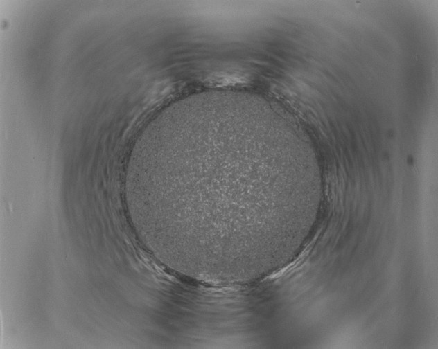 X0000088031393200705182014