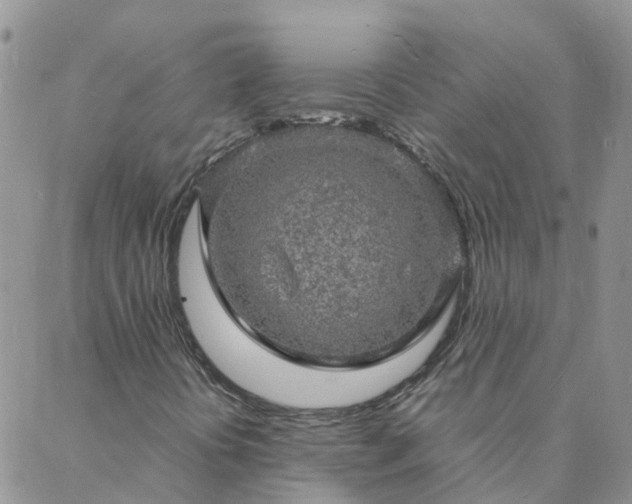 X0000088031394200705182014