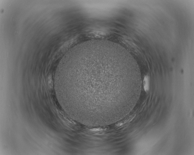 X0000088031395200705182014