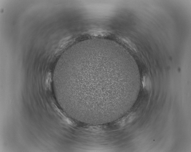 X0000088031396200705182014