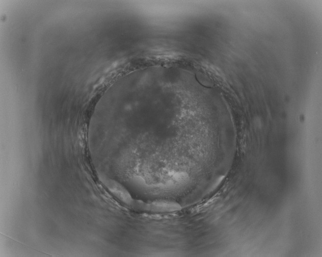 X0000088031397200705182014