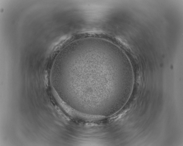 X0000088031398200705182014