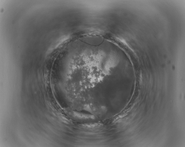 X0000088031399200705182014