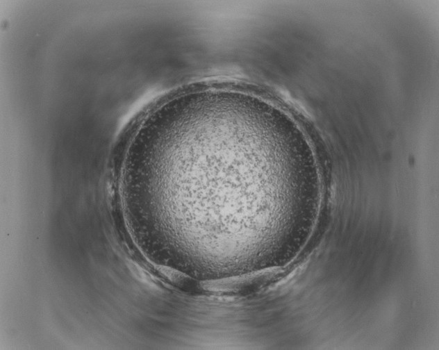 X0000088031400200705182014