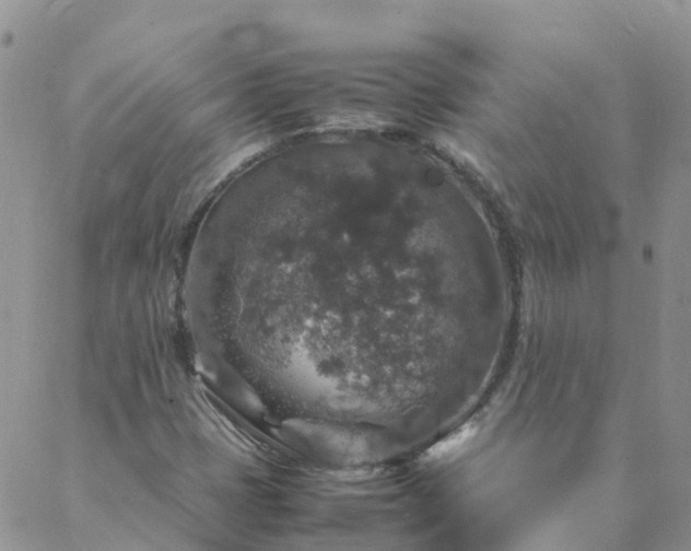 X0000088031401200705182014